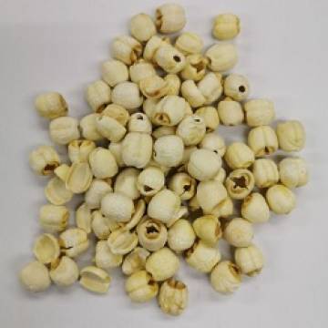 Lotus Seed  1k
